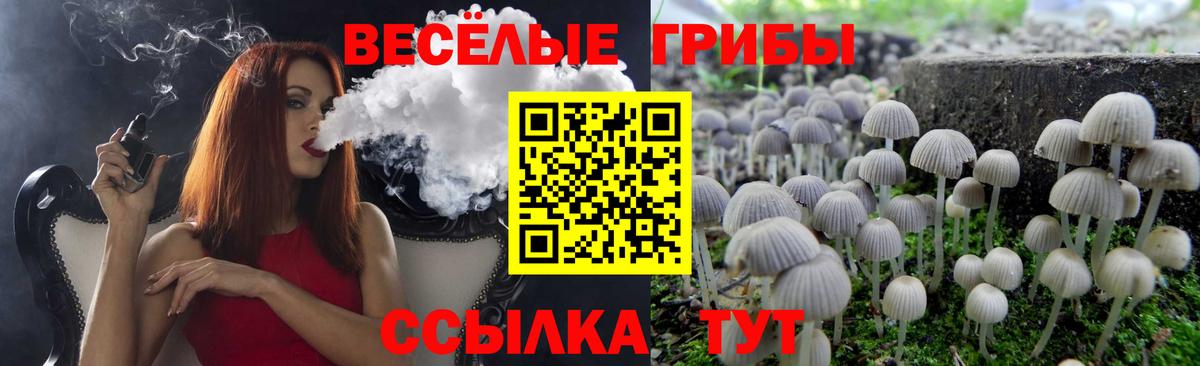 Галлюциногенные грибы Magic Shrooms Гагарин